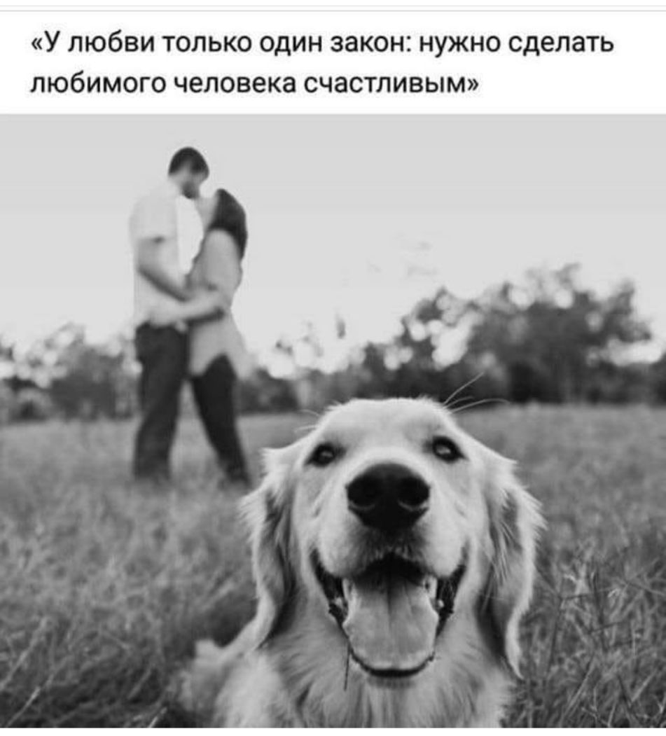 У ЛЮбВИ ТОЛЬКО ОДИН ЗЭКОНС НУЖНО сделать ЛЮбИМОГО человека СЧЗСТЛИВЫМ