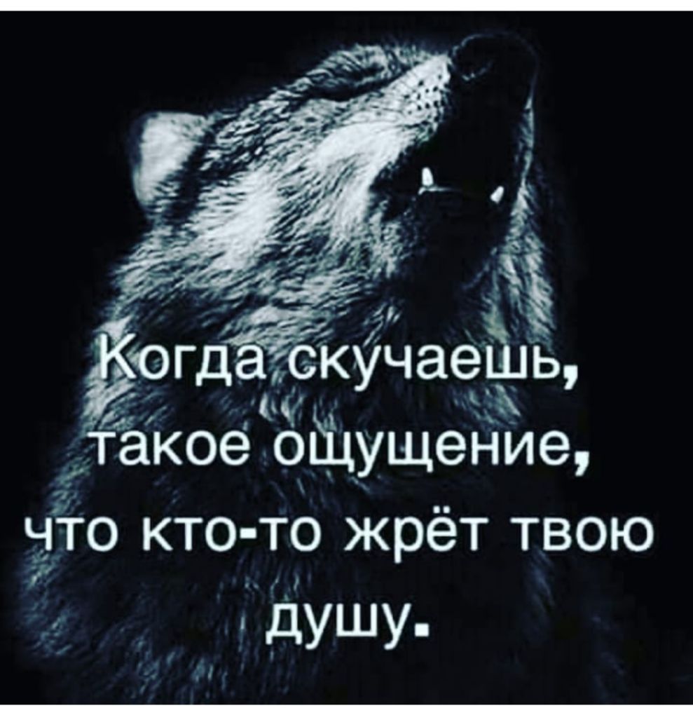 іучае ь мг акое оЁцущение это кто то жрёт твою 7 9 _