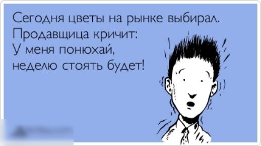 Сегодня цветы на рынке выбираА Продавщица кричит У меня понюхай недемо стоять будет