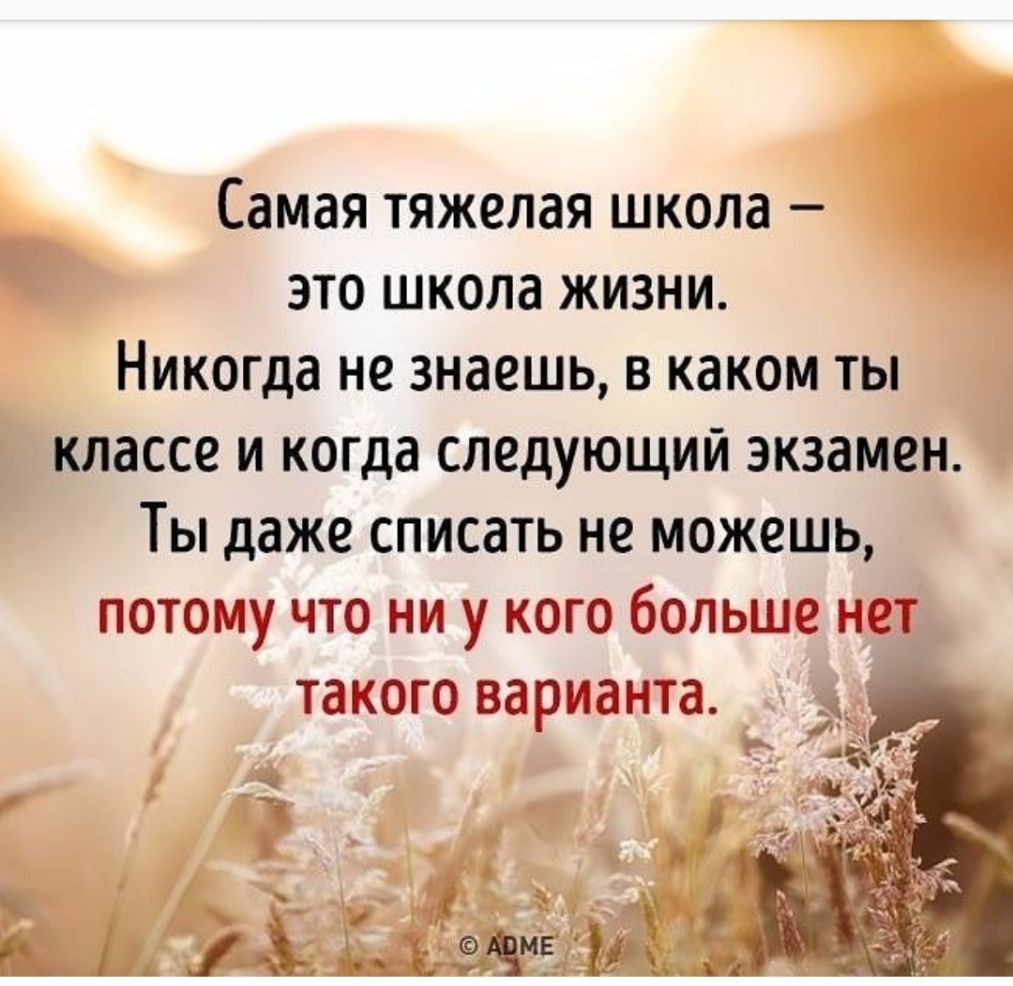 Самая тяжелая школа это школа жизни Никогда не знаешь в каком ты классе и когда следующий экзамен Ты даже списать не можешь потому что ни у кого больше нет