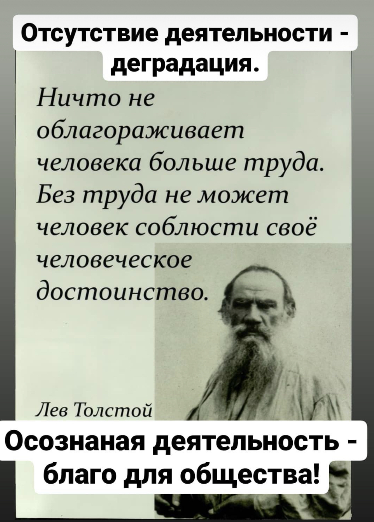 Отсутствие деятельности деградация Ничто не облагораживает человека больше труда Без труда не может человек соблюсти своё человеческое достоинство Лев Толстой 3 Осознаная деятельность благо для общества