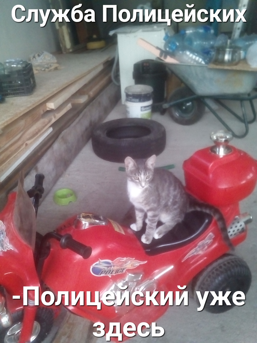 С ужба Поли ейски