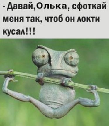 Аавай0лька сфоткай меня так чтоб он Аокти кусая