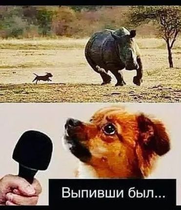 Выпивши был