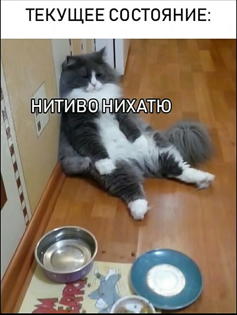 ТЕКУЩЕЕ СОСТОЯНИЕ