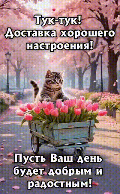 Тук-тук! Доставка хорошего настроения! Пусть Ваш день будет добрым и радостным!