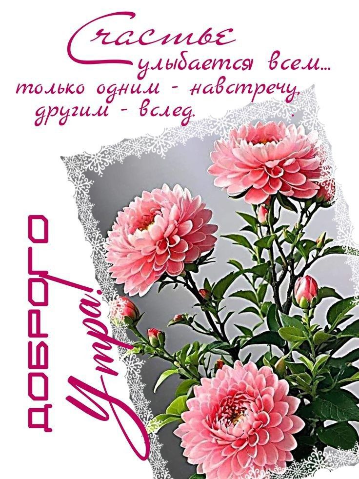 Счастье улыбается всем... только одним - навстречу другим - вслед.
Доброго Утра!