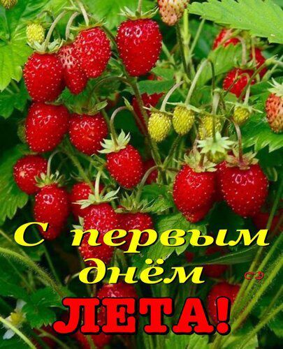 С первым днём ЛЕТА!