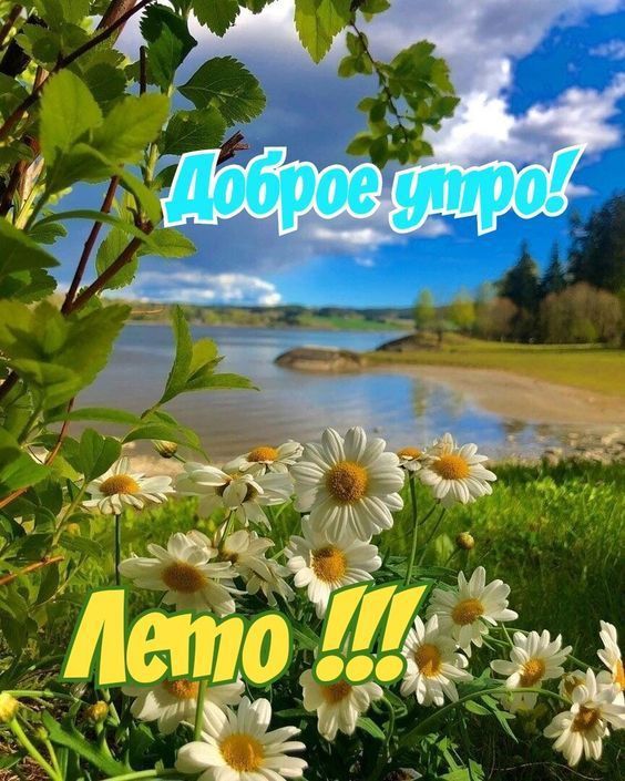 Доброе утро! Лето !!!