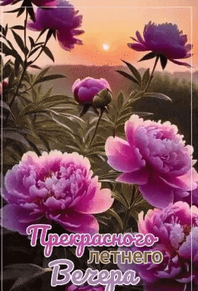 Прекрасного летнего Вечера
