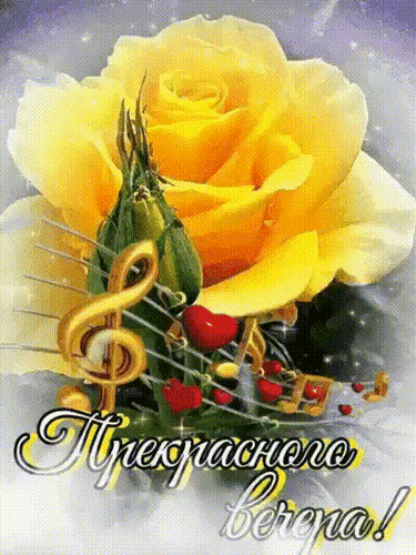 Прекрасного вечера!