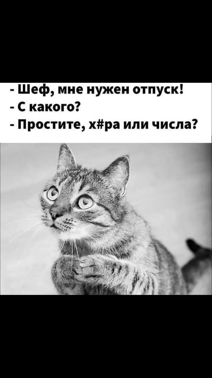 Шеф мне нужен отпуск С какого Простите хра или числа