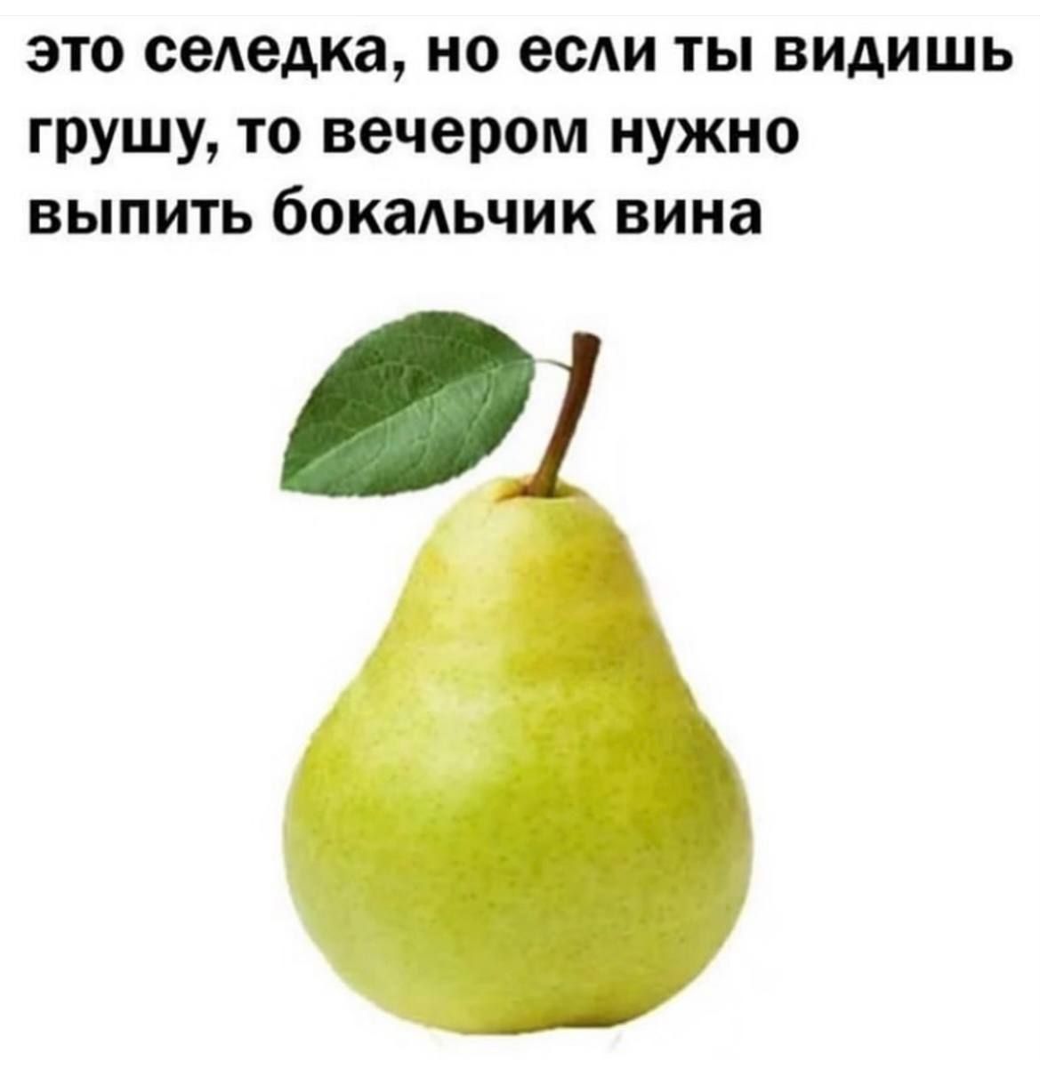 это селедка но если ты видишь грушу то вечером нужно выпить бокальчик вина