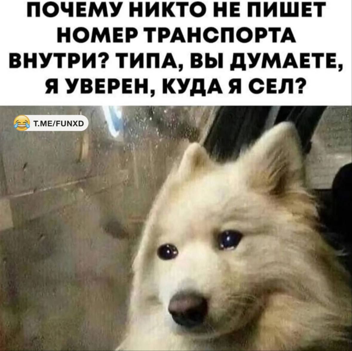 ПОЧЕМУ НИКТО НЕ ПИШЕТ НОМЕР ТРАНСПОРТА ВНУТРИ ТИПА ВЫ ДУМАЕТЕ Я УВЕРЕН КУДА Я СЕЛ а тметно