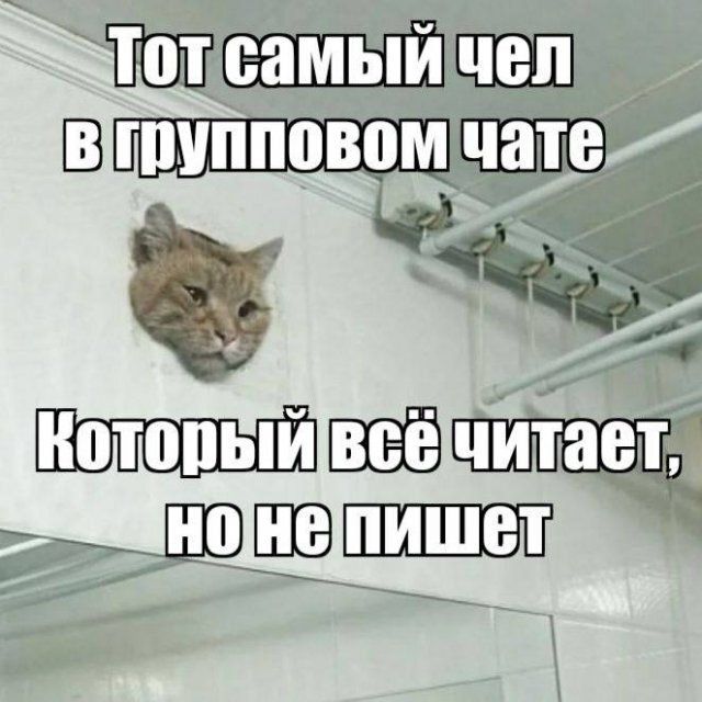 Е ТоТ самыи Чел