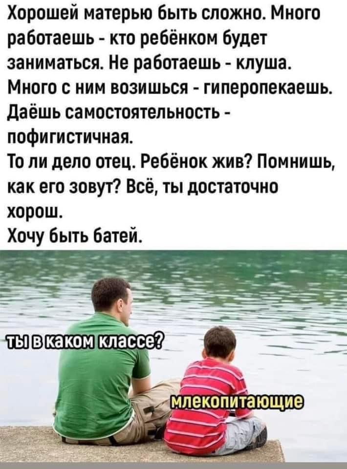 Хорошей матерью быть сложно Много работаешь кто ребёнком будет заниматься Не работаешь клуша Много с ним возишься гиперопекаешь Даёшь самостоятельность пофигистичная То ли дело отец Ребёнок жив Помнишь как его зовут Всё ты достаточно хорош Хочу быть батей