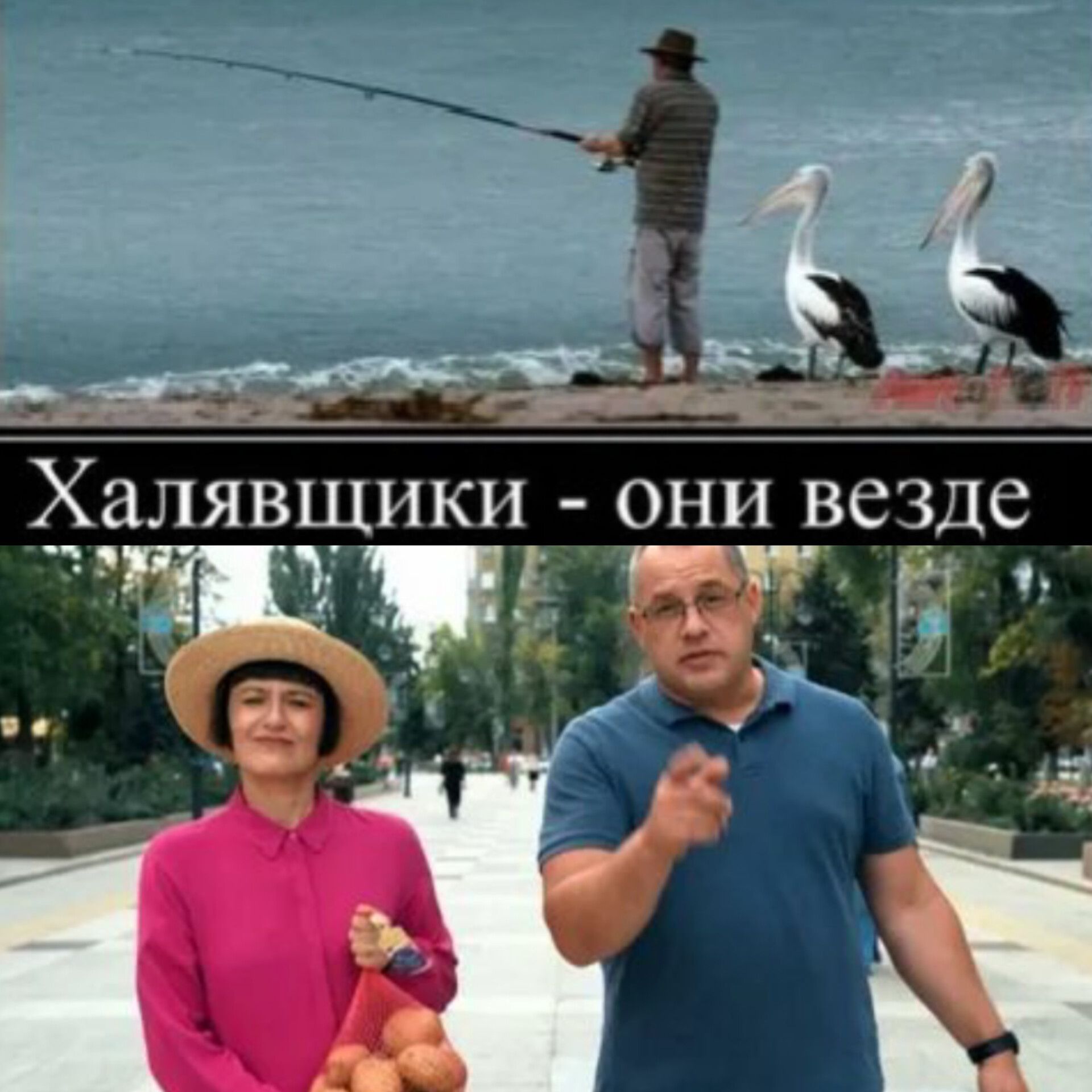 Халяявщики - они везде