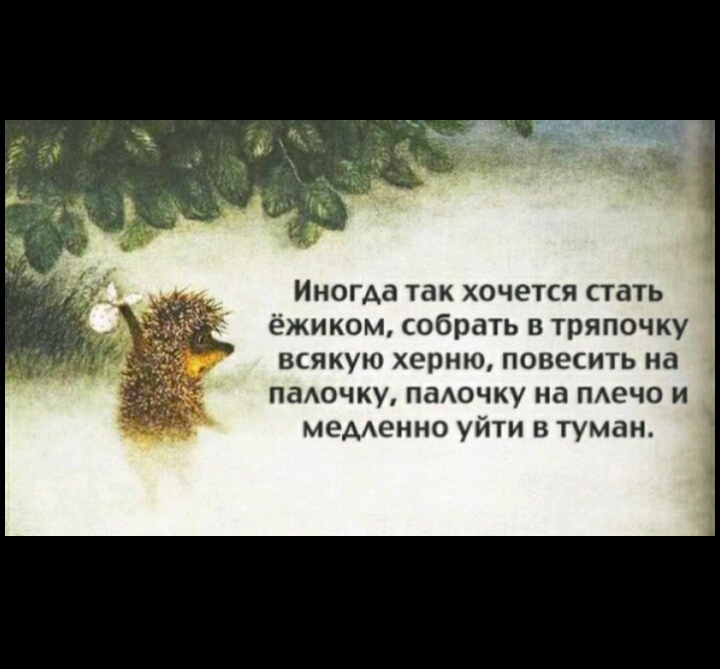 Иногда так хочется стать ёжиком собр ть в тряпочку всякую херню повесить на патчку паАочку на шею и меденно уйти в туман