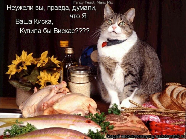 км Магн Неужели вы правда думали что Я Ваша Киска Купила бы Вискас
