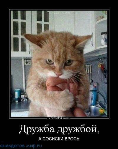 Друж дружбой А сосиски ВРОСЬ