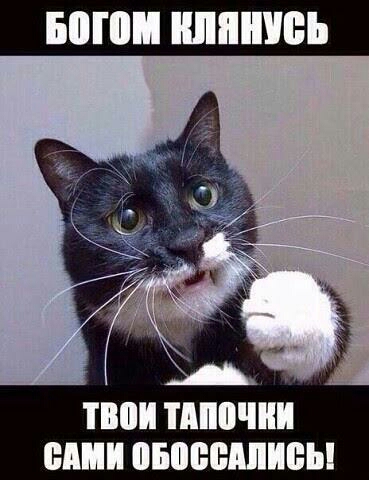 ПШ ШШШЁЪ ПЮИ ШШШ ШШ ПБПЁЁШИБЫ