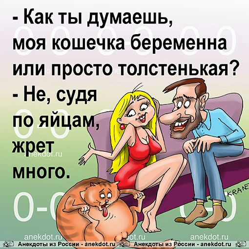 Как ты думаешь моя кошечка беременна или просто толстенькая