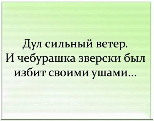 Дул сильный ветер И чебурашка зверски был избит своими ушами