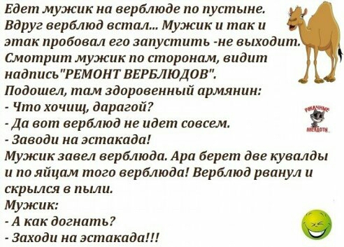Едет мужик на верблюде пи пустыне Вдруг верблюд встал Мужик и так и этак пробовал его запустить не выходит Смотрит мужик по сторонам видит надпись РЕМОНТ ВЕРБЛЮДОВ Падошаь там здорпвенный армянин Что хочищ дарагпй Да вот верблюд не идет савсш Ё Заводи на эстакада Мужик завел верблюда Ара берет две кувалды и по яйцам того верблюда Верблюд рванул и скрьиш в пыли Мужик А как догнать о Заходи на эстак