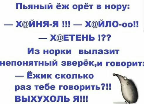 Пьяный ёж орёт в нору хйня я ш ХЙЛ0 оо _ ХЕТЕНЬ т Из норки вылазит непонятный зверёкм говорит Ёжик сколько раз тебе говорить ВЫХУХОЛЬ Я _