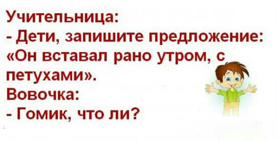 Учительница Дети запишите предложение Он вставал рано утром с петухами Вовочка Гомик что ли