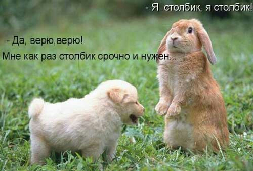Я СТОПбИК Я СТОПБИК