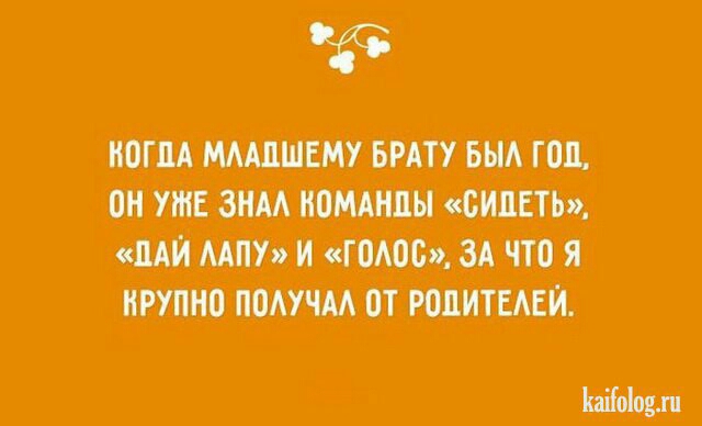 ШПМЩ пишишитти ММФИЧПЩЦЧПЯ тимоти итп