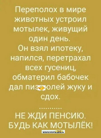Переполох в мире животных устроил мотыпек живущий один день Он взял ипотеку напился перетрахал всех гусениц обматерил бабочек дал пиаолей жуку и сдох НЕ ЖДИ ПЕНСИЮ БУДЬ КАК МОТЫЛЁК