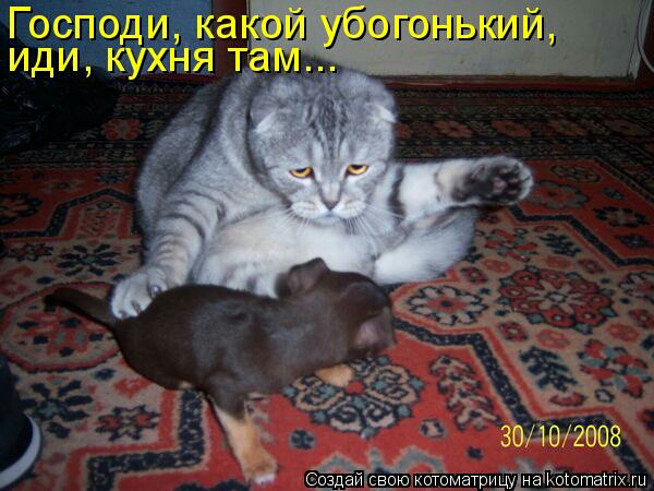 зБдофіооз _ою кЁзматриДуЁаГ ЭХШ
