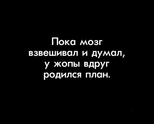 Пока мозг взвешивол и думал у жопы вдруг родился план