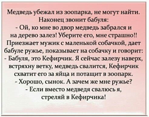Медведь убежал из зоопарка не могут найти Наконец звонит бабуля Ой ко мне во двор медведь забрался и на дерево залез Уберите его мне страшно Приезжает мужик с маленькой собачкой дает бабуле ружье показывает на собачку и говорит Бабуля это Кефирчик Я сейчас залезу наверх встряхну ветку медведь свалится Кефирчик схватит его за яйца и потащит в зоопарк Хорошо сынок А зачем же мне ружье Если вместо ме