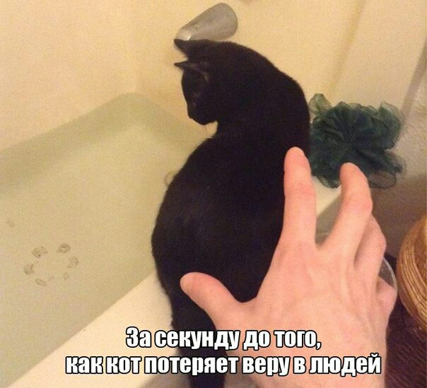 ЮЁ ПШЕПЯВТ ВЕПУ ШП