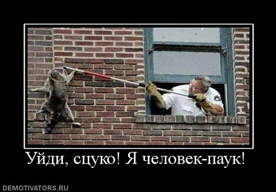 Уйди сцуко Я человек паук ввмотшдтоквли