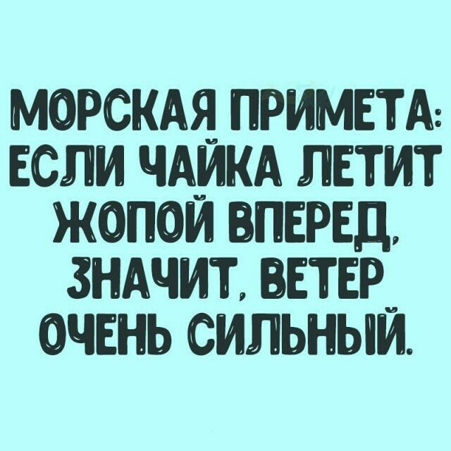 МОРСКАЯ ПРИМЕТА ЕСЛИ ЧАИКА ЛЕТИТ ЖОПОИ ВПЕРЕД ЗНАЧИТ ЕТЕРи ОЧЕНЬ СИЛЬНЫИ