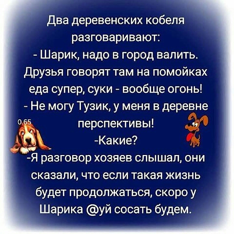 Два деревенских кобеля разговаривают Шарик надо в город валить Друзья говорят там на помойках еда супер суки вообще огонь Не могу Тузик у меня в деревне перспективы и _ Какие Я разговор хозяев слышал они сказали ЧТО ЕСЛИ такая ЖИЗНЬ будет продолжаться скоро у Шарика уй сосать будем