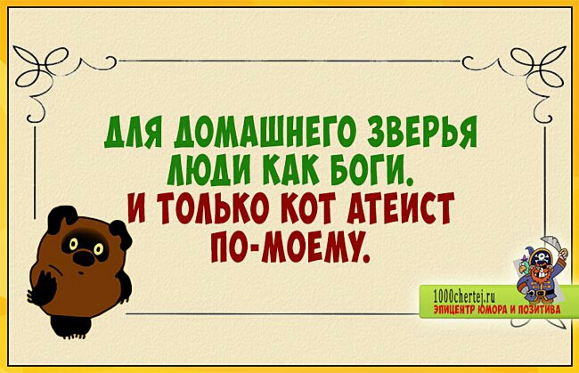 дем 5 для домашнего зввгья С моли как ьоги и только кот атеист помоему