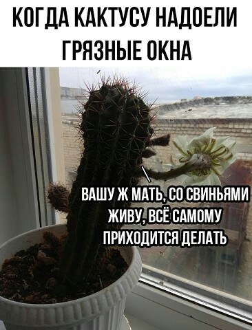 КОГДА КАКТУВУ НАДПЕЛИ ГРЯЗНЫЕ ПКНА ад ВАШУ Ж ММБ 80 СВИНЬПМИ ЖИВУВСЁБАМПМУ ПРИХОДИТСПЧЛЕЛАТЬ