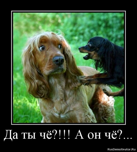 Даты чё А он чё мы м