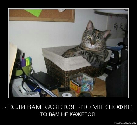 ЕСЛИ ВАМ КАЖЕТСЯ ЧТО МНЕ ПОФИГ ТО ВАМ НЕ КАЖЕТСЯ