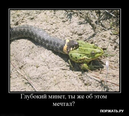 Глубокий минет ты же об этом мечтал пюрждтьуу