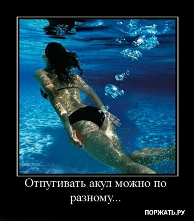 _ д _ _ Отпугивать акул можно по разному тгждшгу