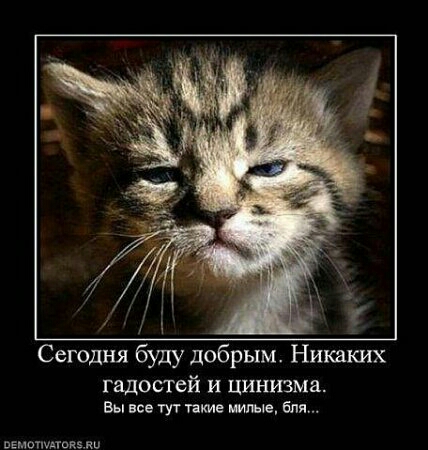 Сегодня буду добрым Никаких гадостей и цинизма Вы все тут такие милые бля ввмыцшщди