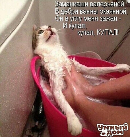 А купап купал КУПАП