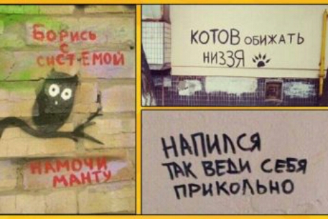 КОТОВ ЭБИХАТЬ Шима вам сев прикодьно