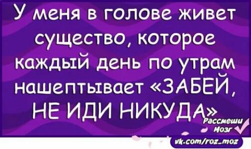 У меня в голове живет существо которое каждый день по утрам нашептывает ЗАБЕЙ НЕ ИДИ НИКУД З диву